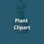 Plant clipart