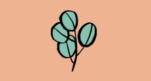 Plant clipart