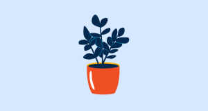 Plant clipart